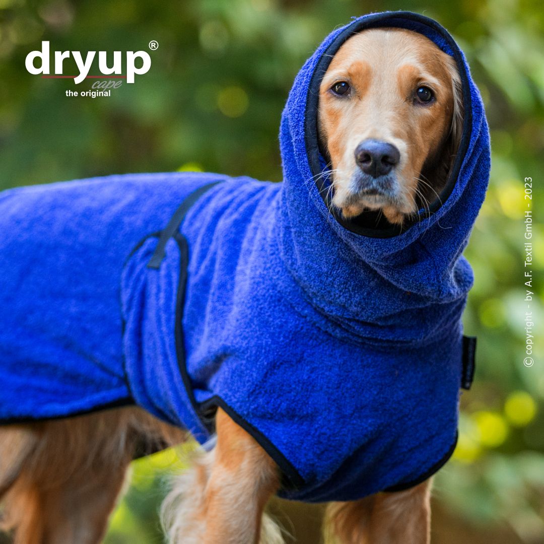 Dryup cape - Blueberry
